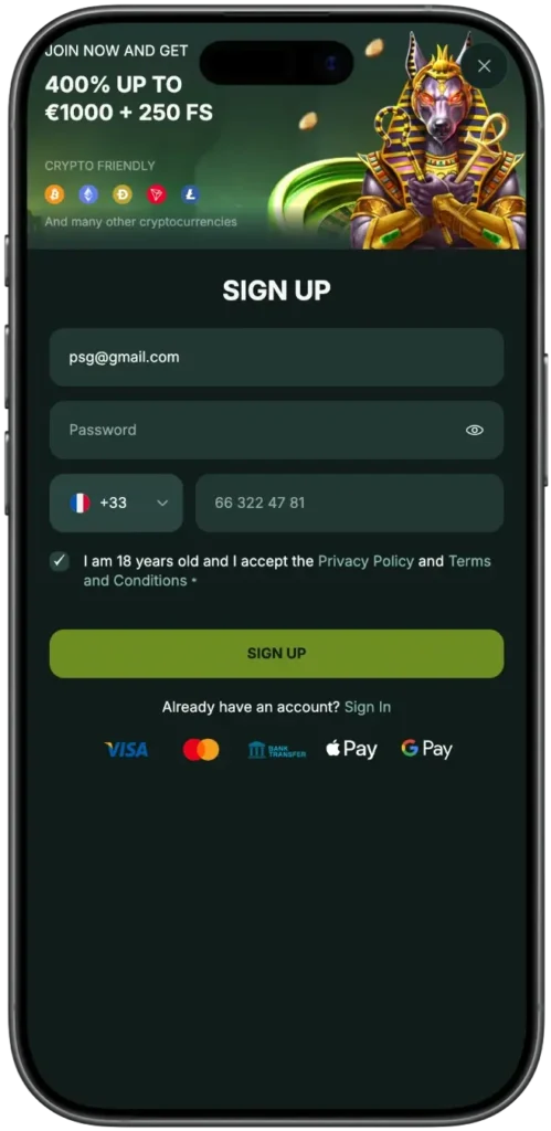 application mobile